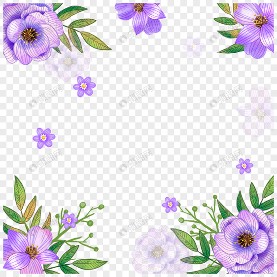 紫色春天花卉蔷薇图片