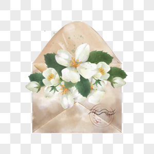信封水彩花卉植物复古白色图片