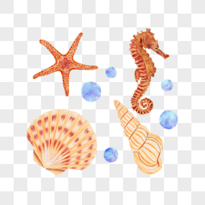 贝壳海洋生物水彩图片
