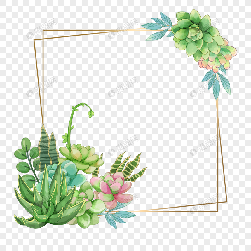 多肉边框金线绿色水彩植物方形线条元素素材下载 正版素材 摄图网
