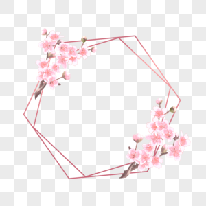 桃花花卉边框双层六边形图片