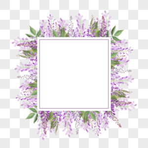 水彩紫藤花卉紫色边框图片