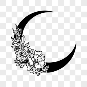 素描可爱花朵黑白月亮花卉图片