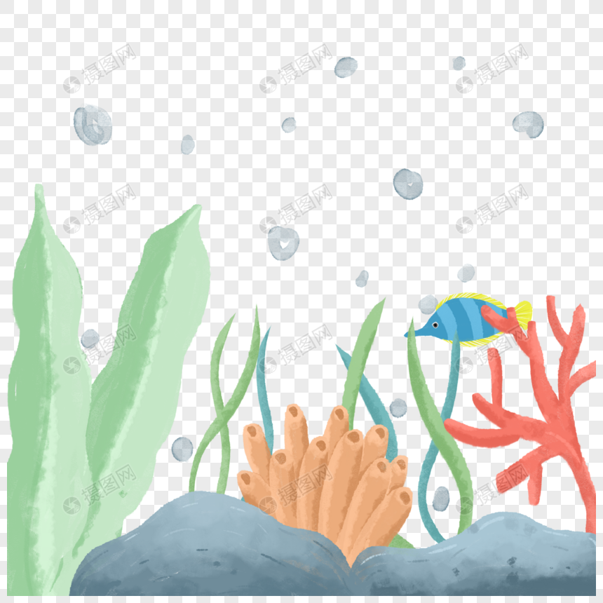 水彩海洋珊瑚生物海菜鱼图片