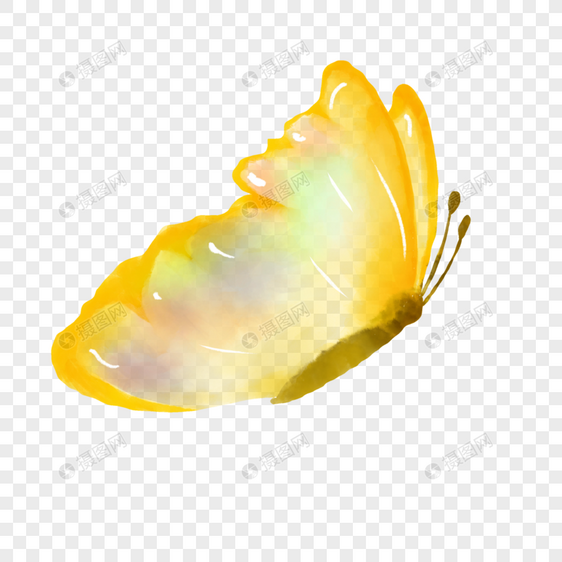 黄色水彩画水彩蝴蝶图片