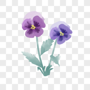 水彩晕染花卉紫色三色堇图片