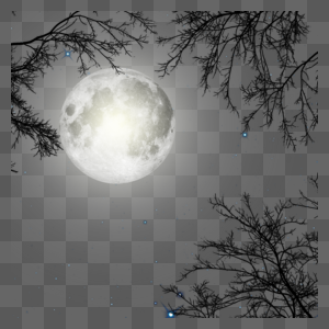 树林间圆圆的月亮图片