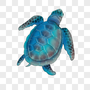 海龟海洋水彩畅游图片