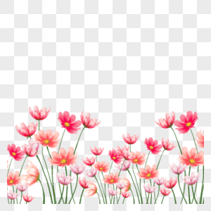 水彩红色格桑花卉边框创意图片