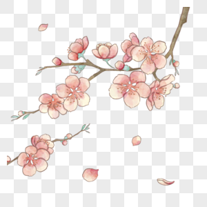 水彩风格春季樱花图片