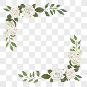 玫瑰白色简约花卉边框图片