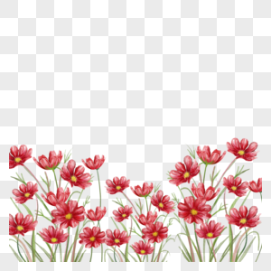 水彩红色格桑花卉边框图片