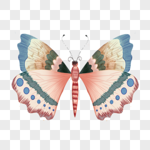 复古水彩蝴蝶彩色元素图片