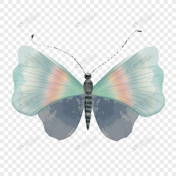水彩复古蝴蝶正面彩色元素图片