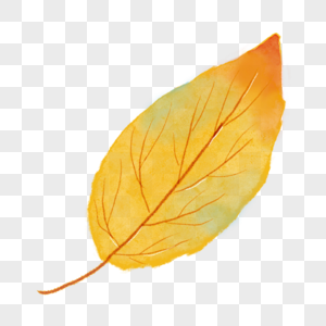 金色脉络图案水彩秋季树叶图片