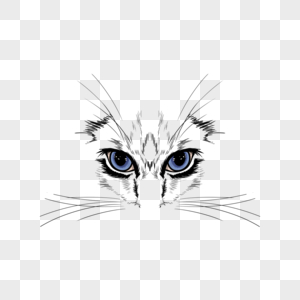 简约动物猫咪眼睛彩绘图片