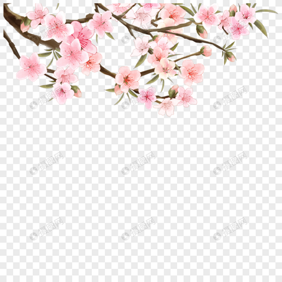 水彩花卉桃花盛开图片