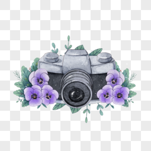 紫色水彩花卉相机图片