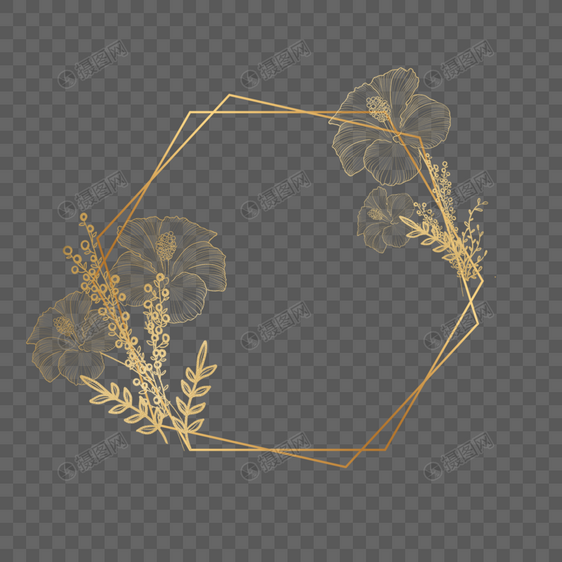 金色植物花卉线稿边框图片