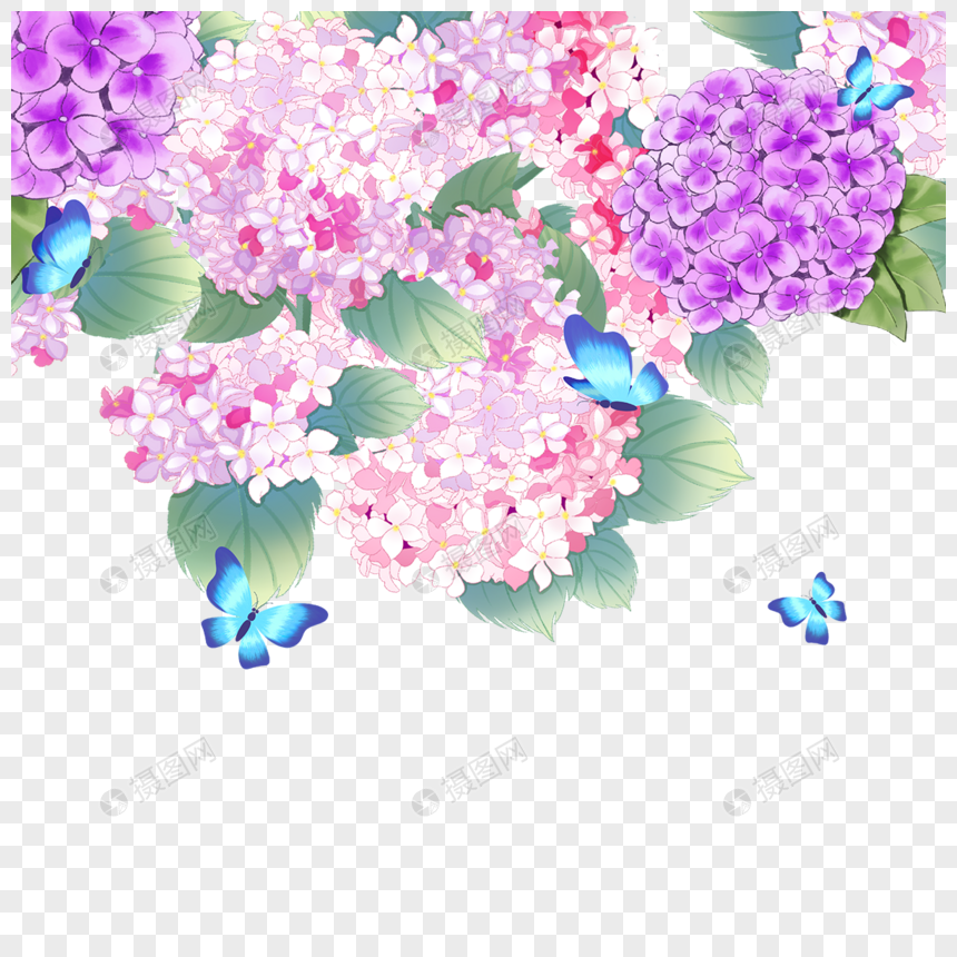 水彩绣球粉色花卉婚礼边框图片