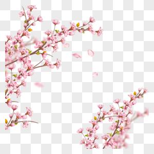 飘落的春天光效樱花枝条图片