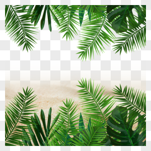 夏季热带绿色植物沙滩图片