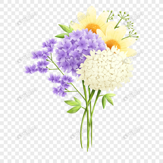 绣球花水彩紫白色插花图片