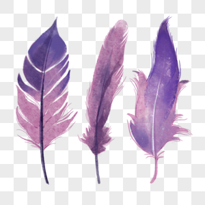 三个波西米亚风格紫红色羽毛图片