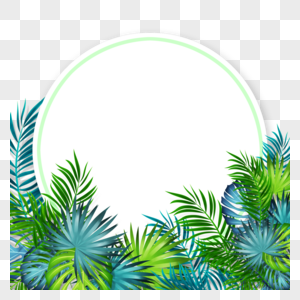 手绘白色圆形夏天棕榈叶边框图片