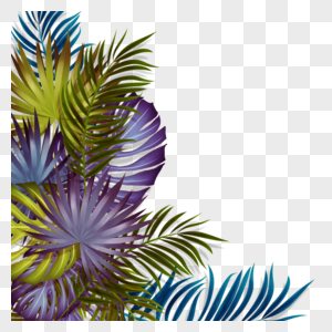 手绘彩色棕榈叶夏天特色边框图片
