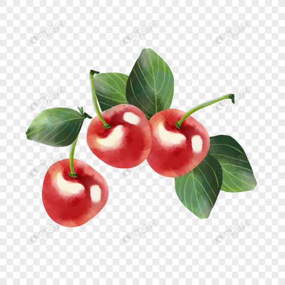 水彩夏季水果大颗红樱桃图片