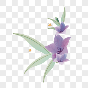 开斋节紫色花朵和绿叶高清图片