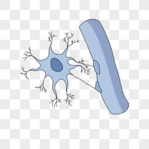 神经病学原浆星形胶质细胞插画高清图片