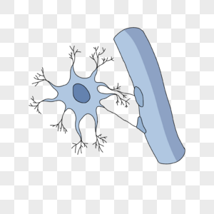 神经病学原浆星形胶质细胞插画图片