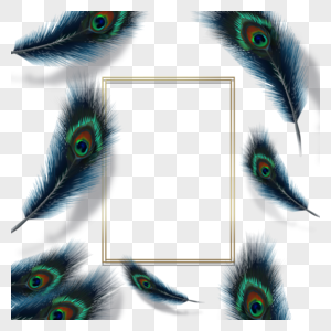 绿孔雀羽毛边框图片