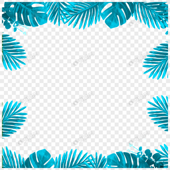 蓝绿色棕榈树龟背竹叶子边框图片
