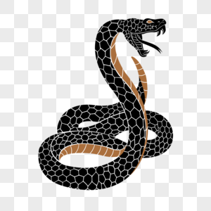 毒蛇黑色纹身图案图片