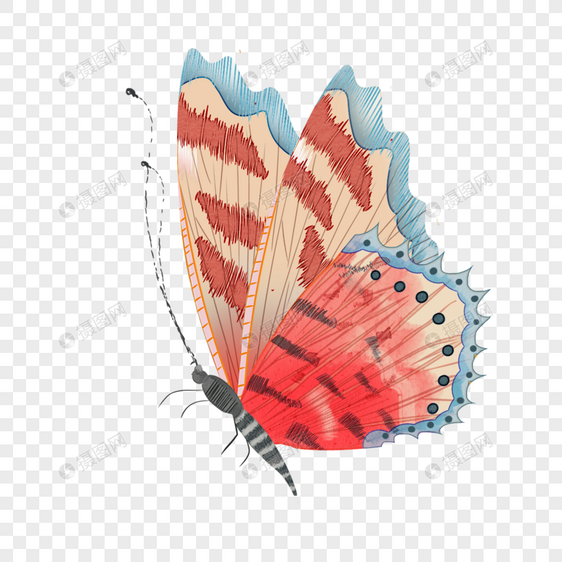 飞翔的复古水彩蝴蝶侧面彩色元素图片