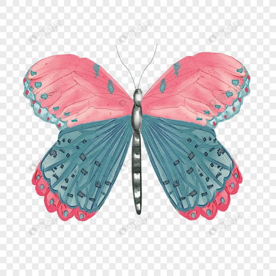 打开翅膀的复古水彩蝴蝶彩色元素图片