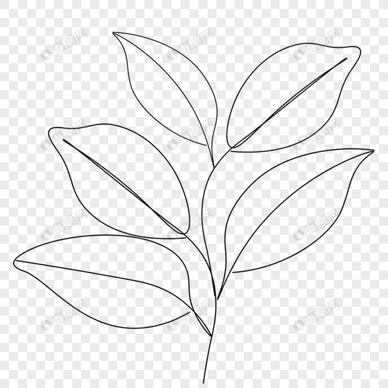 可爱线条画植物叶子图片