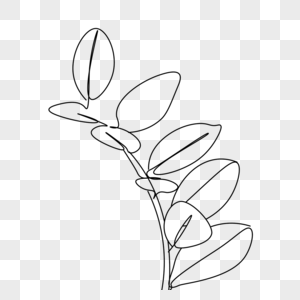 抽象线条画植物叶子图片