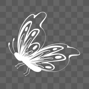 白色线条蝴蝶剪影画图片
