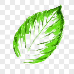 水墨水彩绿色叶子椭圆形图片