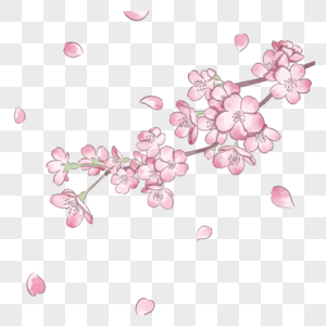 春季粉色水彩樱花图片