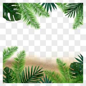 夏季植物沙滩绿色绿叶绿植图片