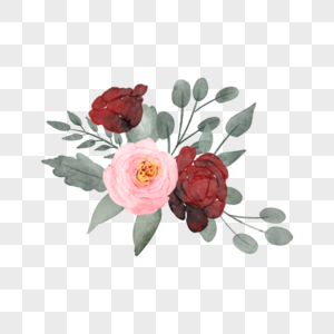 玫瑰水彩勃艮第酒红色婚礼花卉图片