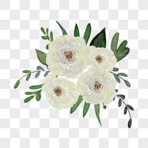 白玫瑰白色水彩花朵图片