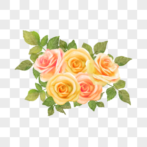 黄色鲜花水彩玫瑰图片
