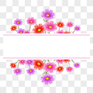 水彩粉色格桑花卉边框图片