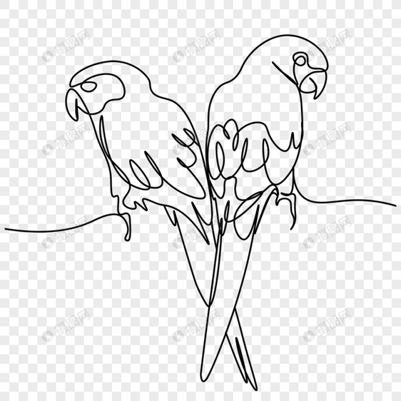 抽象线条画两只鹦鹉图片